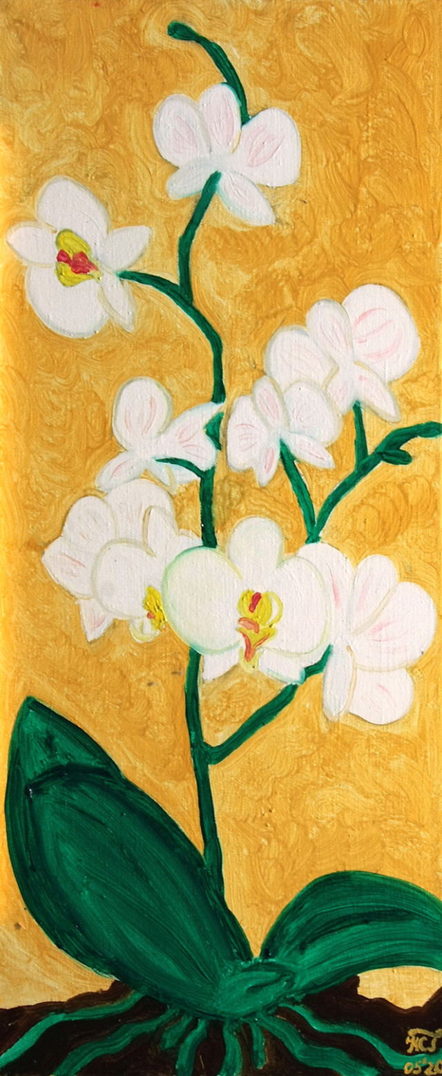 Серия орхидей 1
